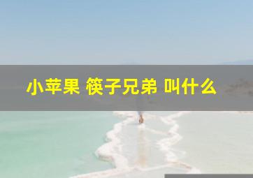 小苹果 筷子兄弟 叫什么